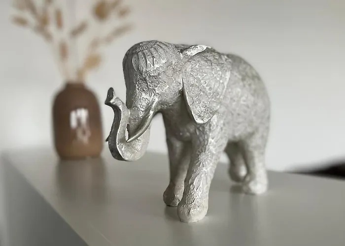 Kobra Fuer 4 Personen *